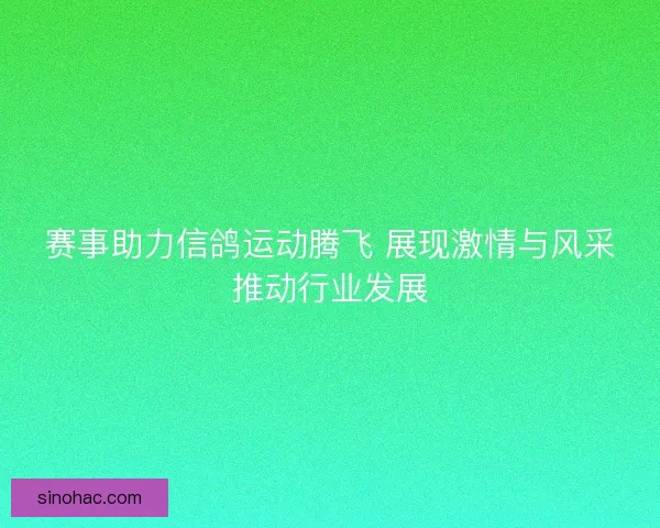 赛事助力信鸽运动腾飞 展现激情与风采推动行业发展