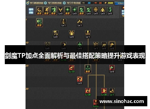 剑魔TP加点全面解析与最佳搭配策略提升游戏表现